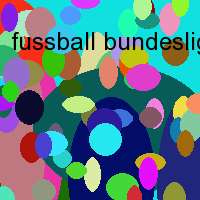 fussball bundesliga champion league