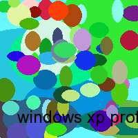 windows xp professional software